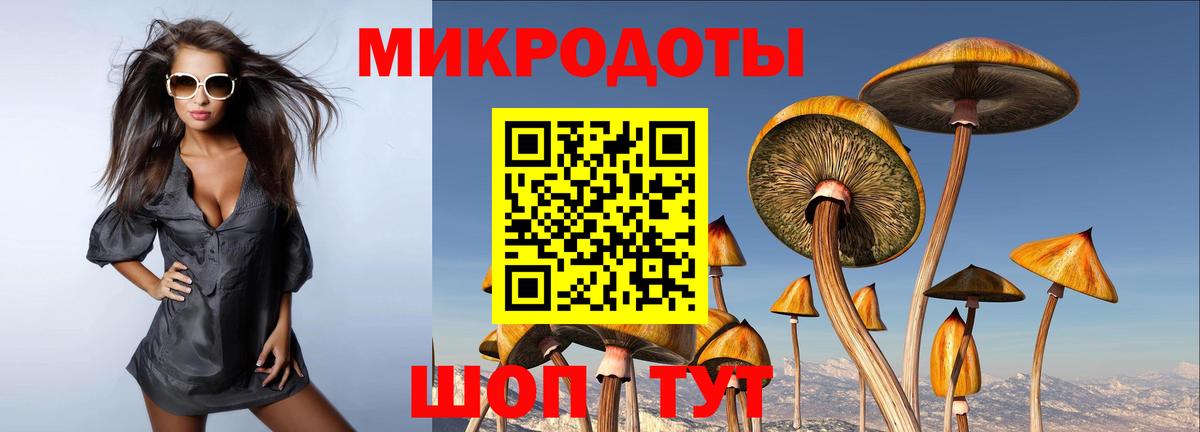 Псилоцибиновые грибы мухоморы  Псилоцибиновые грибы мицелий  купить  сайты  Вход с VPN  Солнечногорск 
