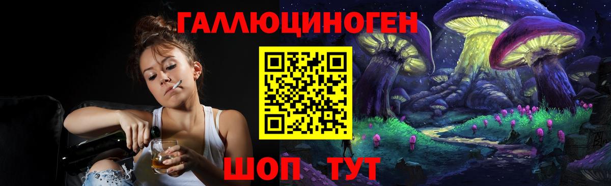 Псилоцибиновые грибы Psilocybine cubensis Солнечногорск